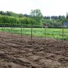 Winnice &raquo; Winnica Letnica